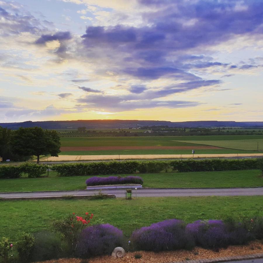אלאין Logis Hotel- Restaurant La Haie Des Vignes Seminaires Et Evenementiel מראה חיצוני תמונה